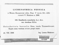 Image Associated With the Occurence